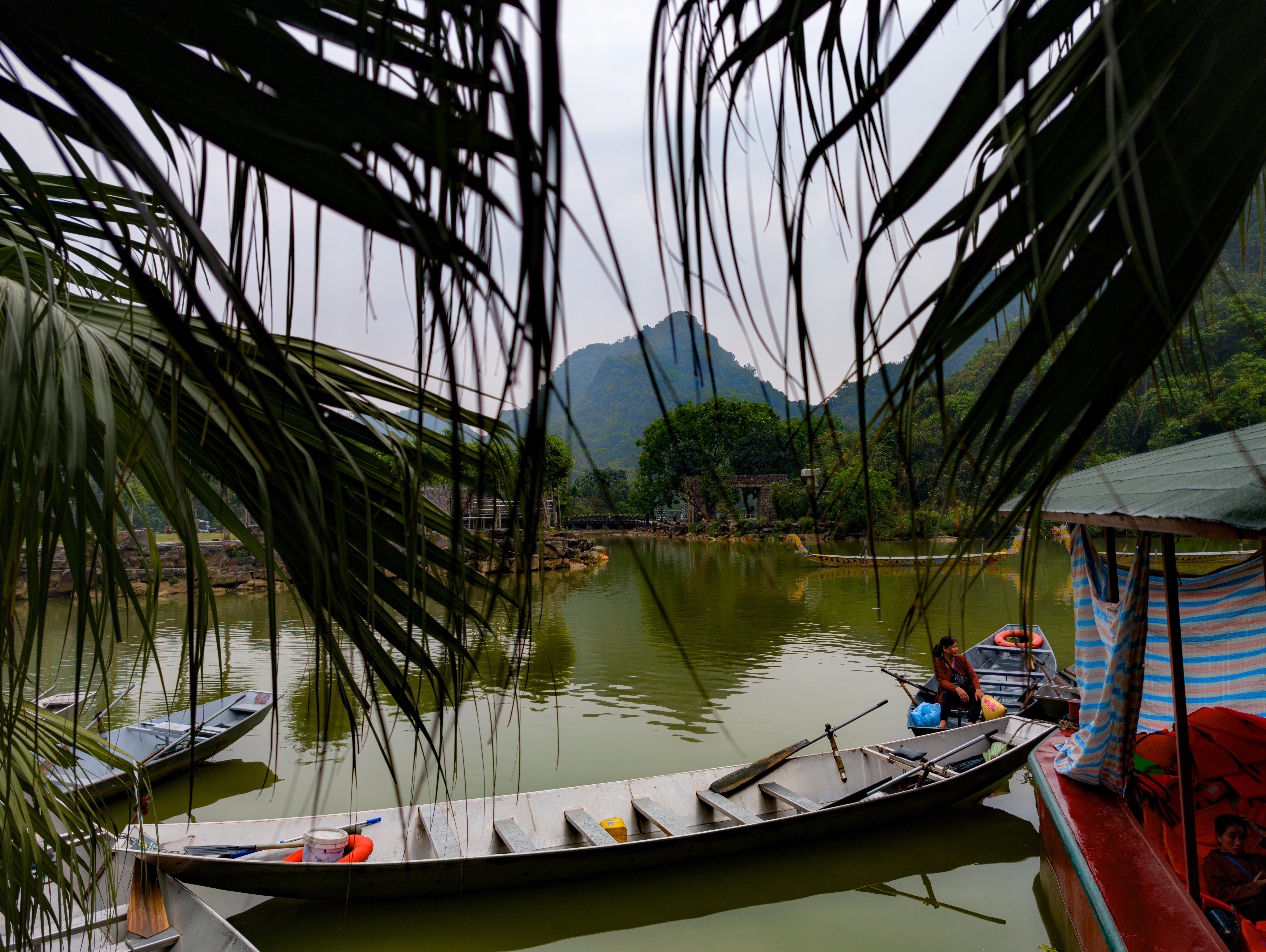 Local boats